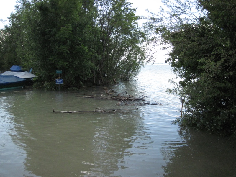 hochwasser2013-13.jpg